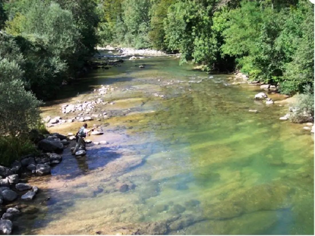Camping Les Charmilles3 étoiles★★★