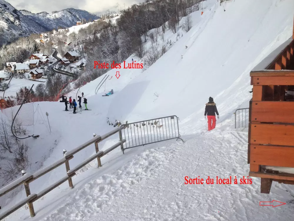 Campanule Chalets De La Vallee D'or