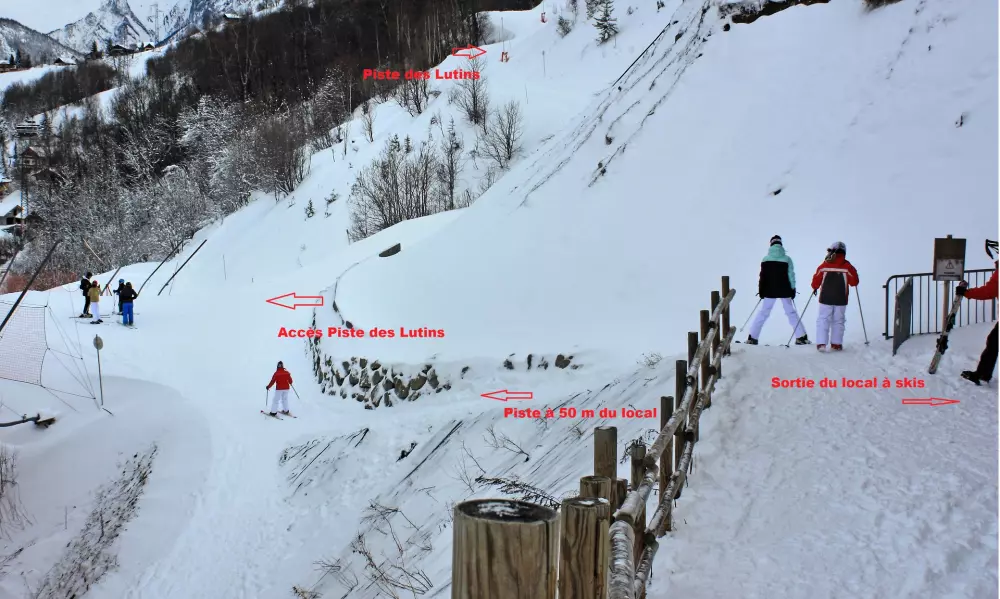 Campanule Chalets De La Vallee D'or