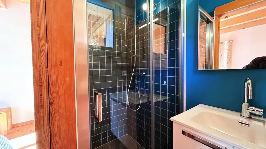 Chalet Le Maestro-vallouise