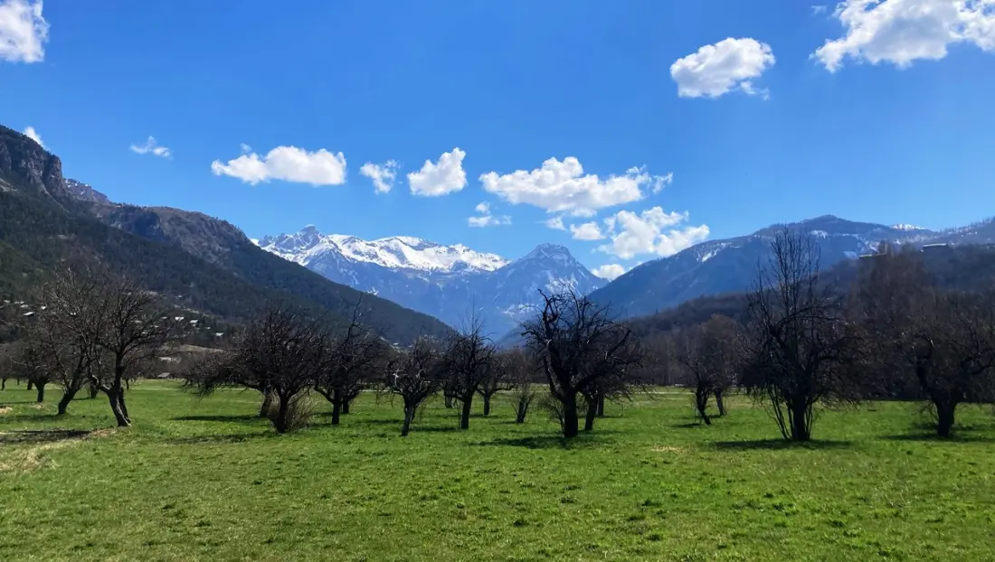 Résidence Le Rosier-vallouise