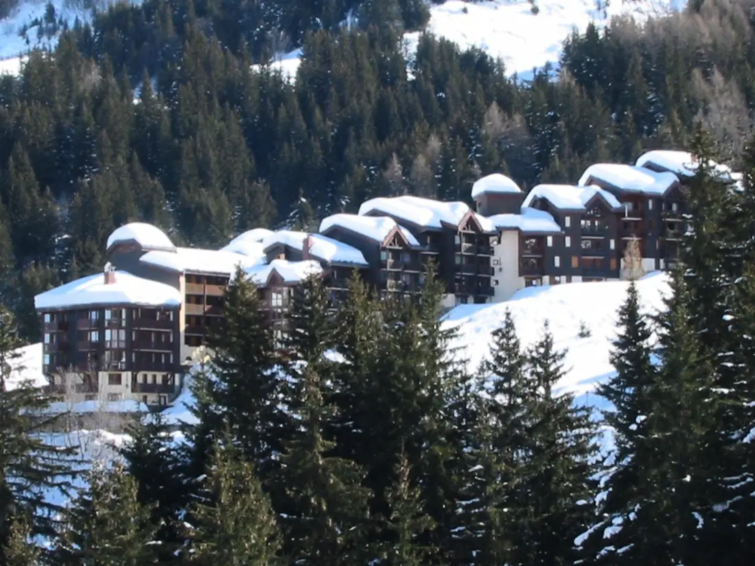 Location de Vacances Les Avanchers-Valmorel 5