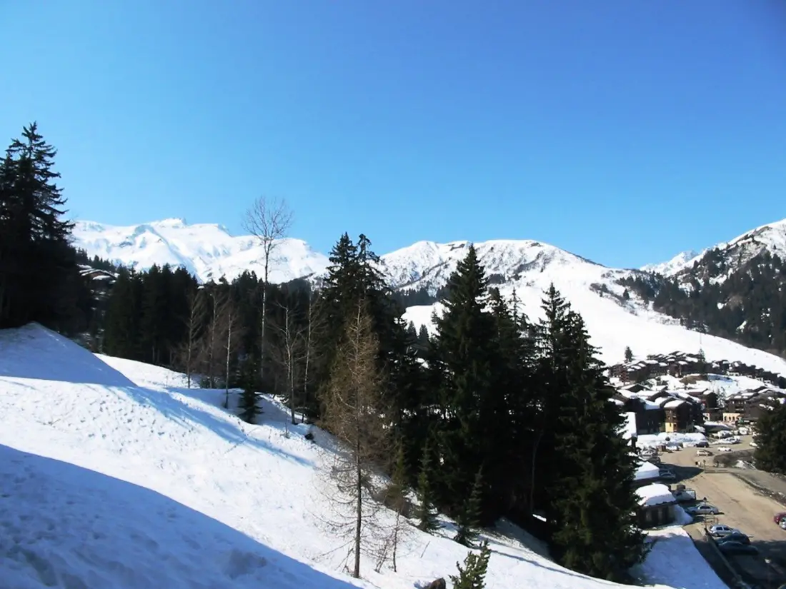Location de Vacances VALMOREL 116