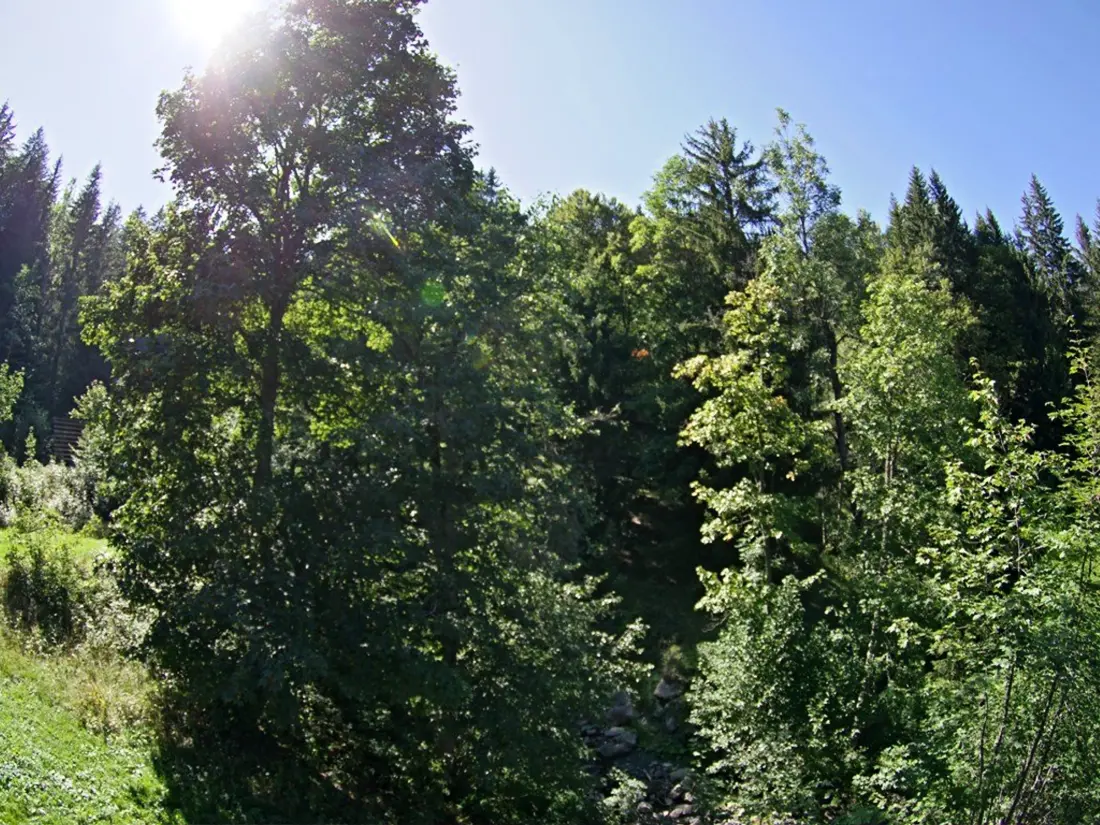 Location de Vacances VALMOREL 165