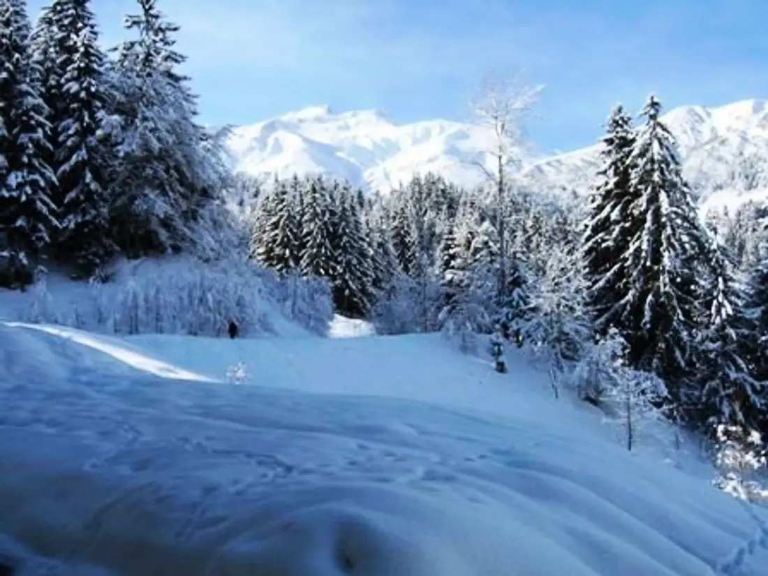 Location de Vacances VALMOREL 50