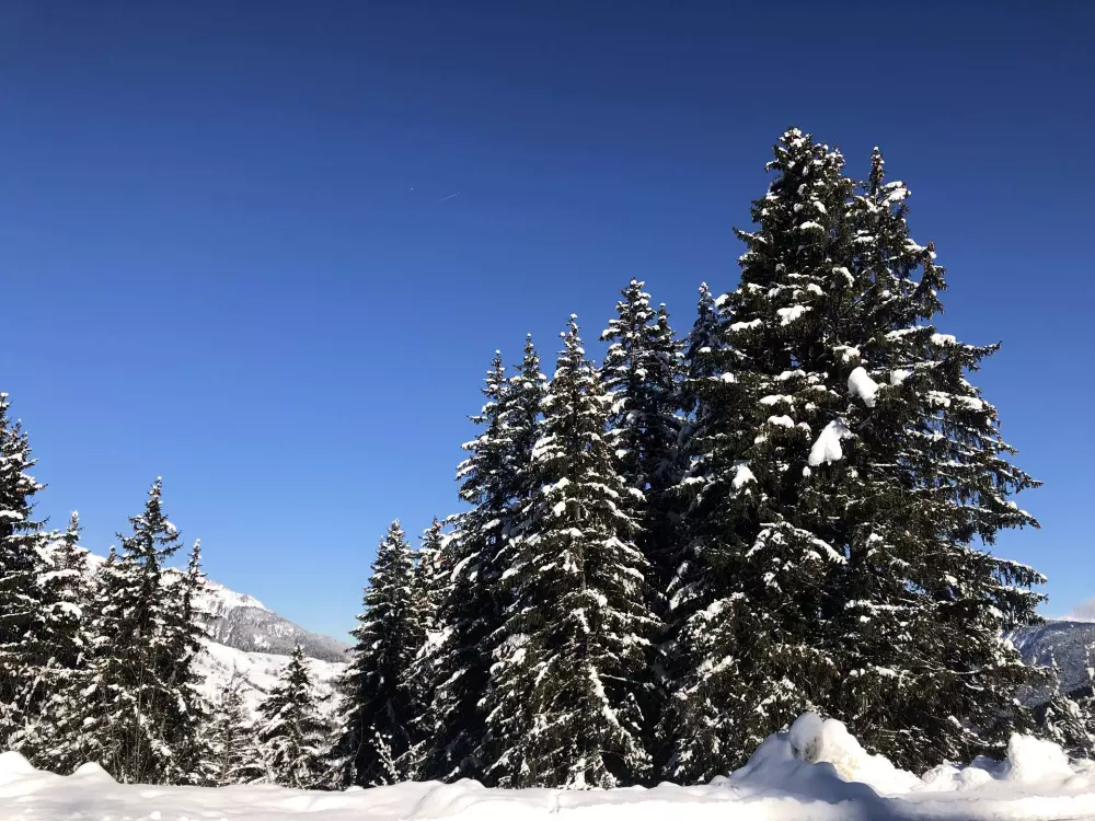 Résidence Cheval Blanc