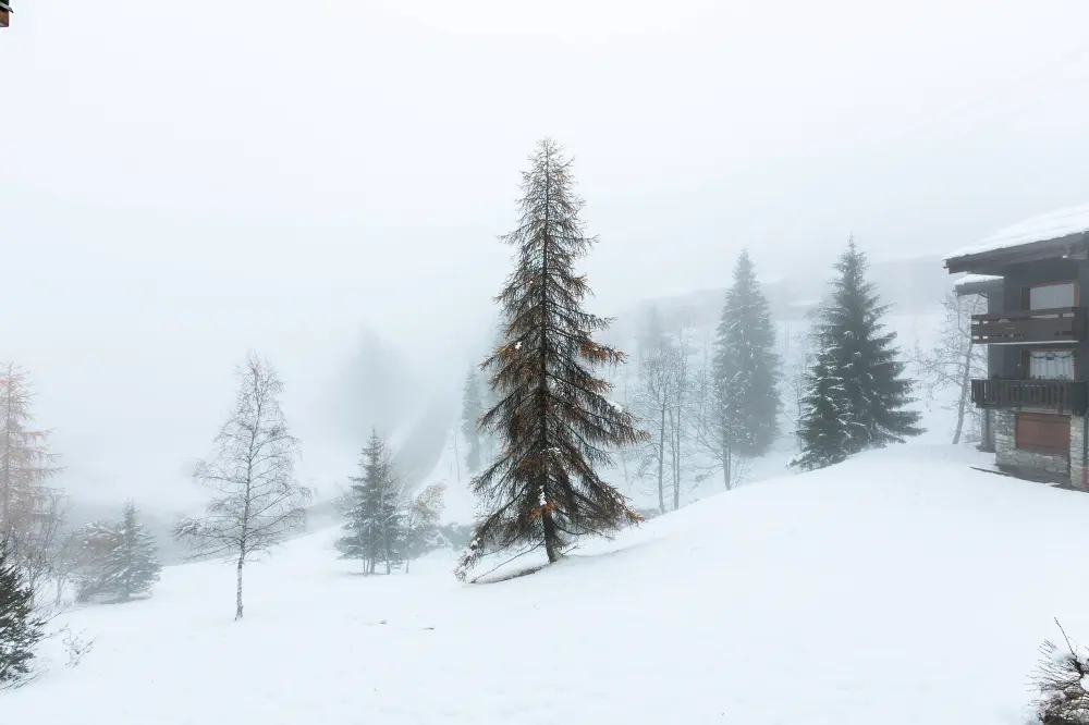 Résidence Jardins D'hiver G