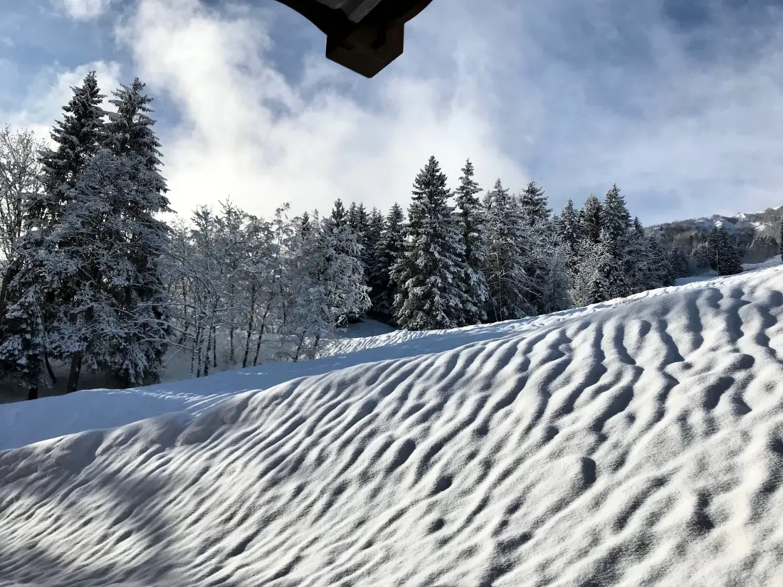 Résidence La Grange Aux Fees