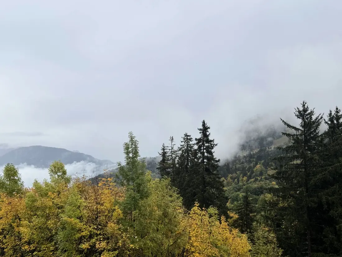 Résidence Ruisseau