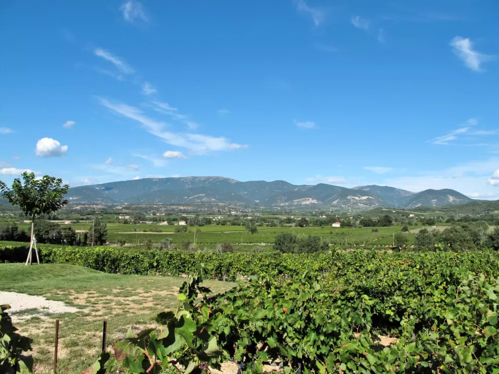 Maison de Vacances Valreas