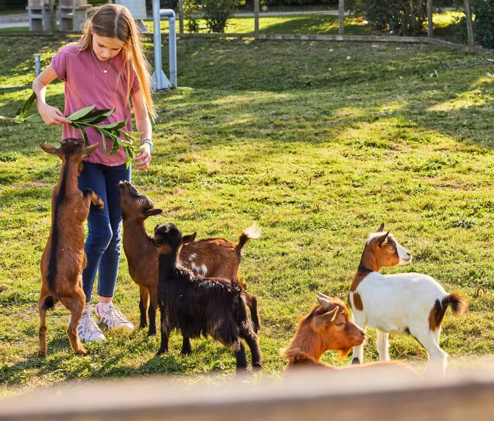 Camping maeva Club Les Jardins du Morbihan 4 étoiles★★★★