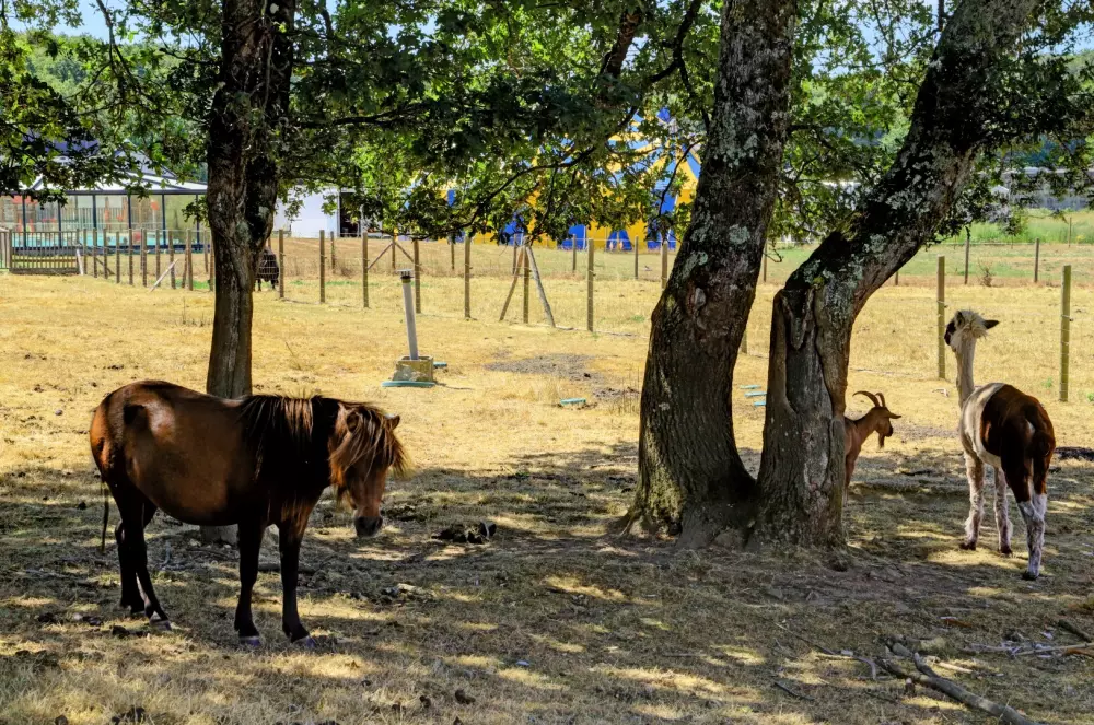Camping maeva Club Les Jardins du Morbihan 4 étoiles★★★★
