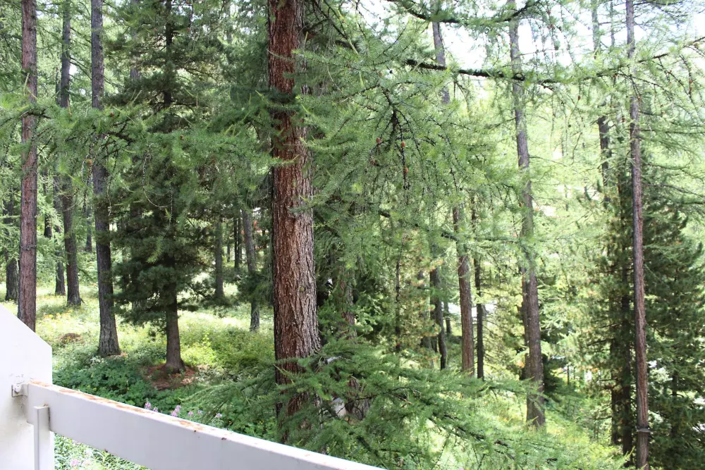 Résidence Chambeyron