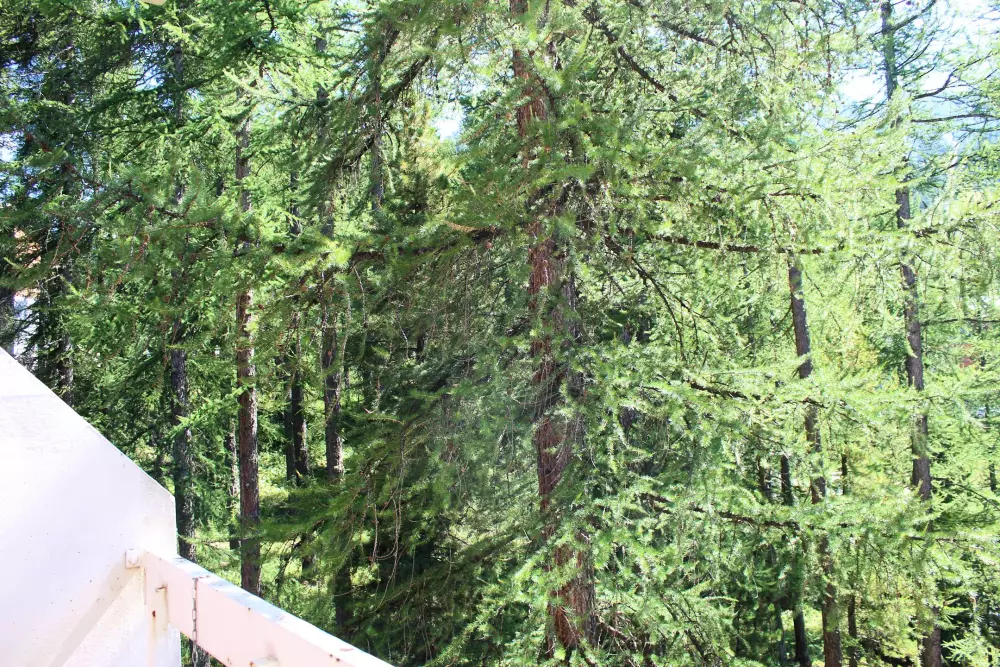 Résidence Chambeyron