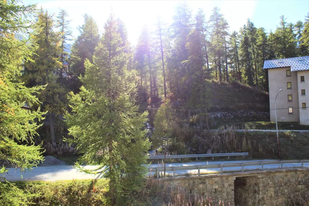 Résidence Edelweiss