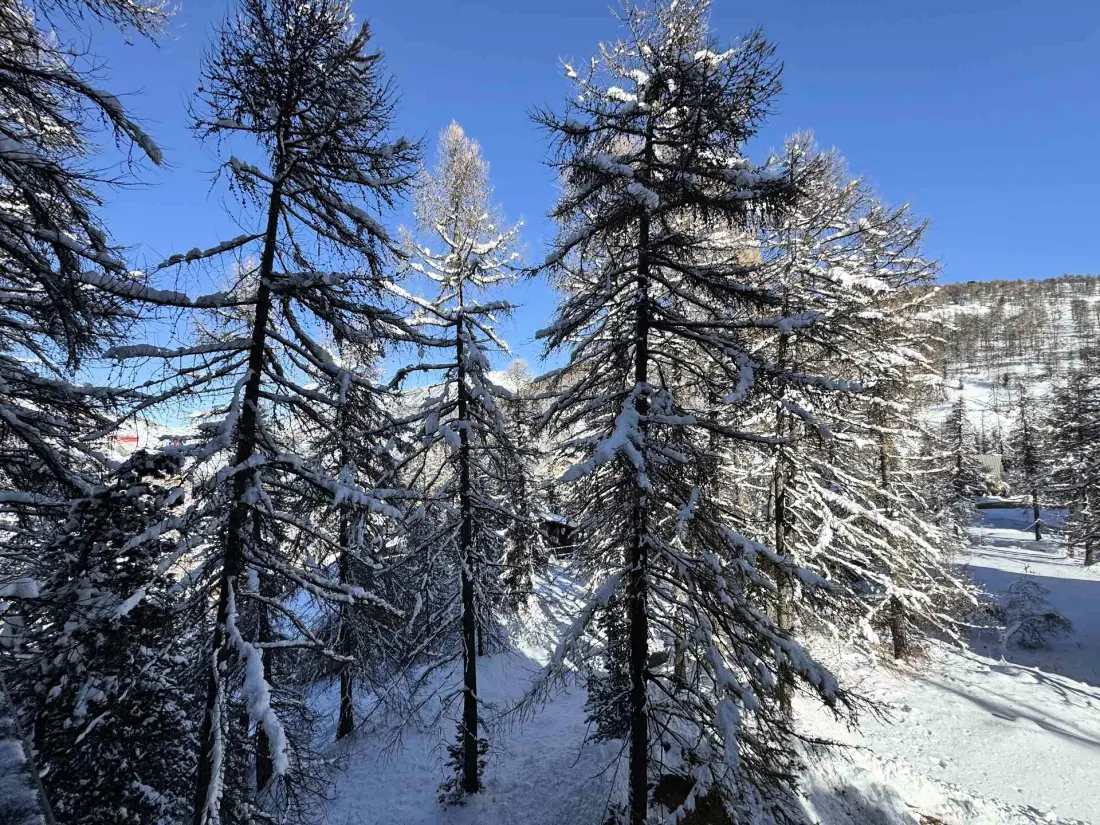 Résidence L'outagno