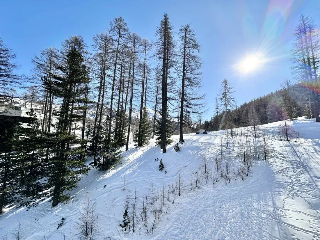 Résidence Le Forest