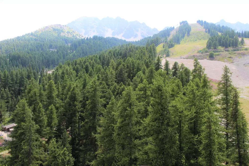 Résidence Pelvoux I