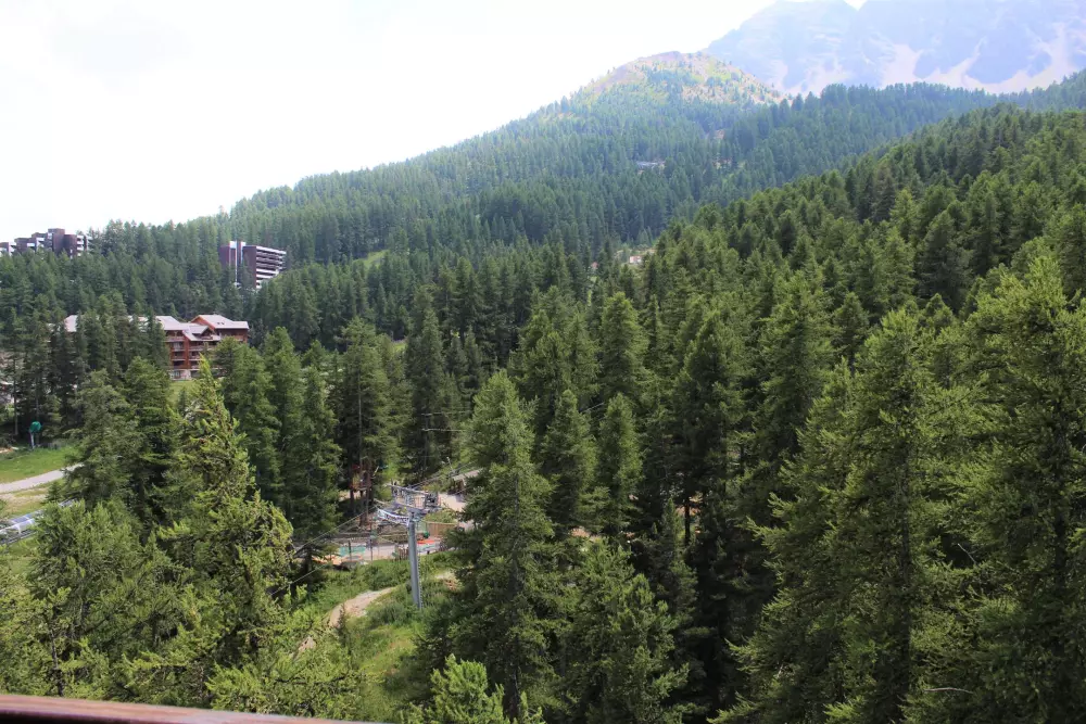 Résidence Pelvoux I