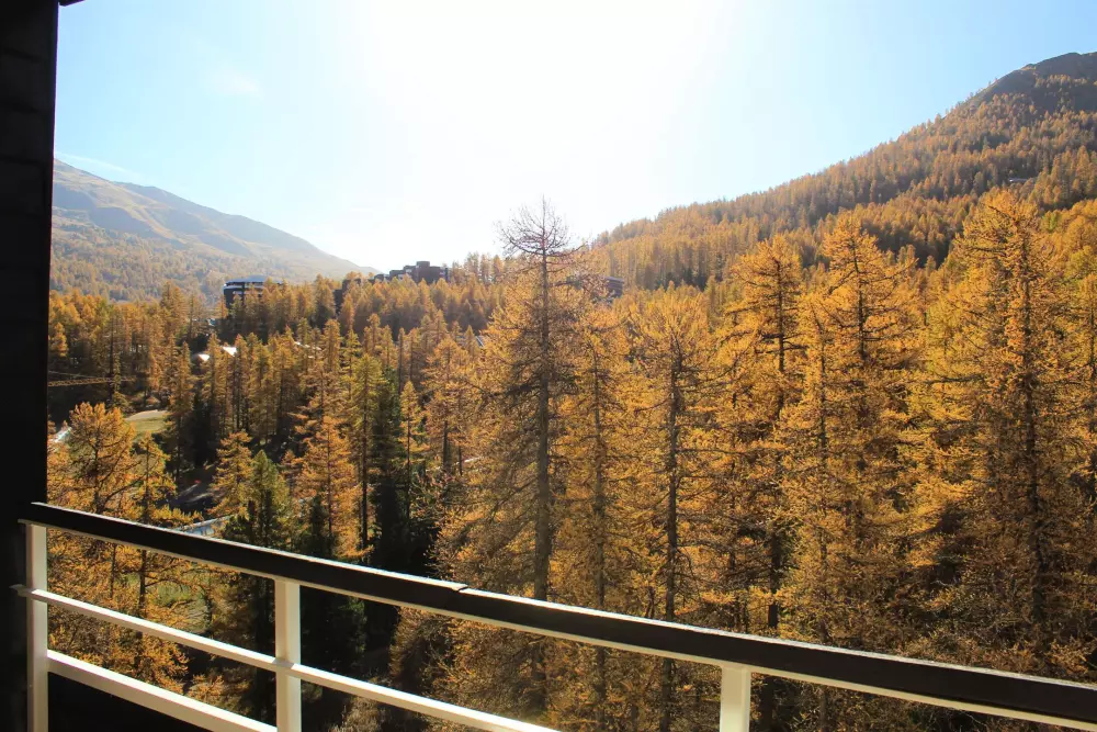 Résidence Pelvoux Ii