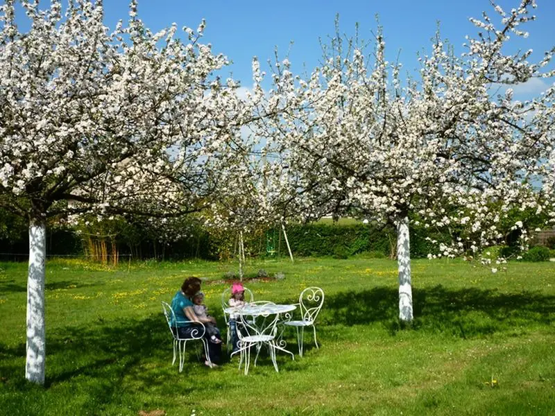 Gîte de France Gîtes de france® - au merle moqueur 3 épis