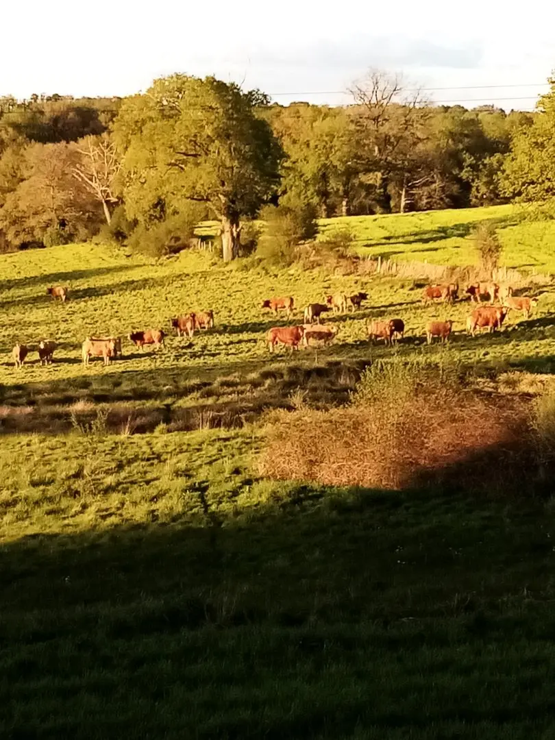 Gîte de France La ferme des souvenirs 2 épis