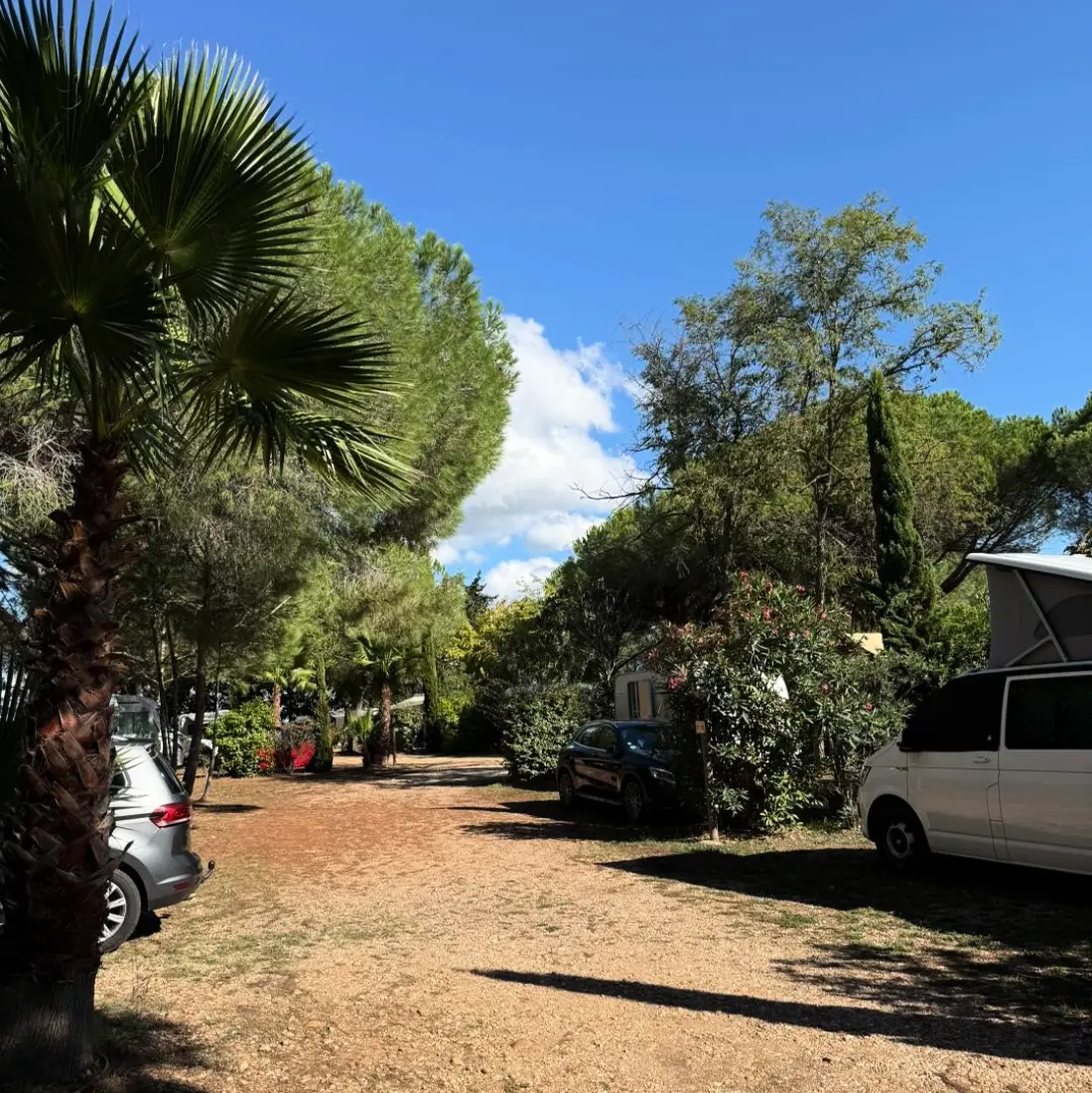 Flower Camping Le Mas de Mourgues 3 étoiles★★★