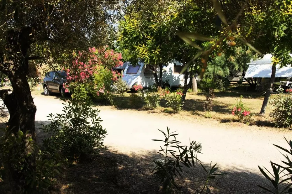 Flower Camping Le Mas de Mourgues 3 étoiles★★★