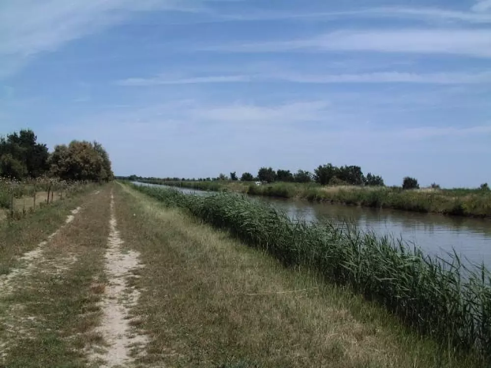 Flower Camping Le Mas de Mourgues 3 étoiles★★★