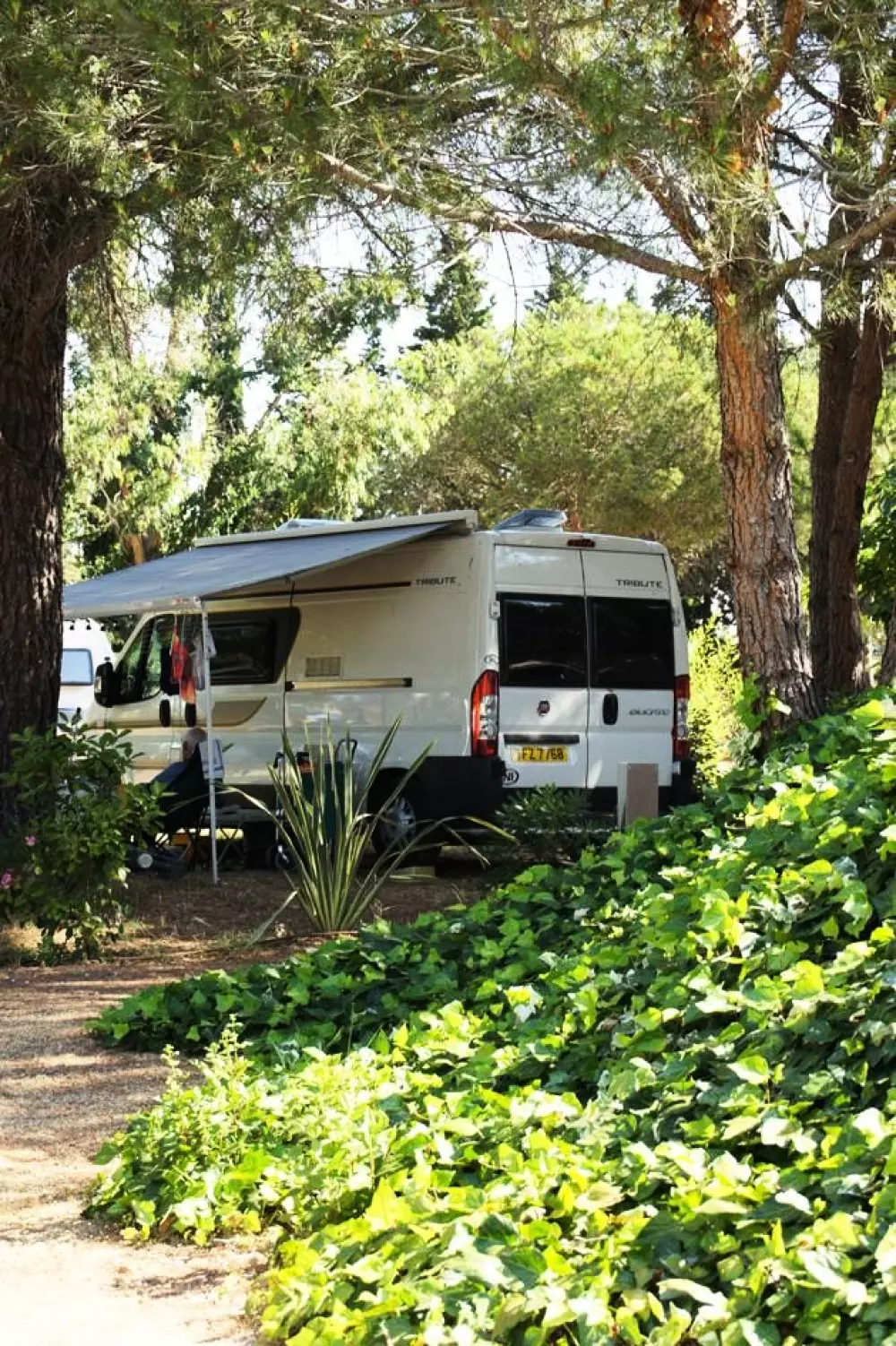 Flower Camping Le Mas de Mourgues 3 étoiles★★★