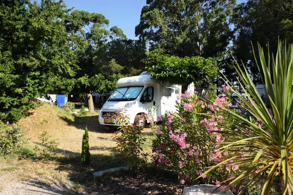 Flower Camping Le Mas de Mourgues 3 étoiles★★★