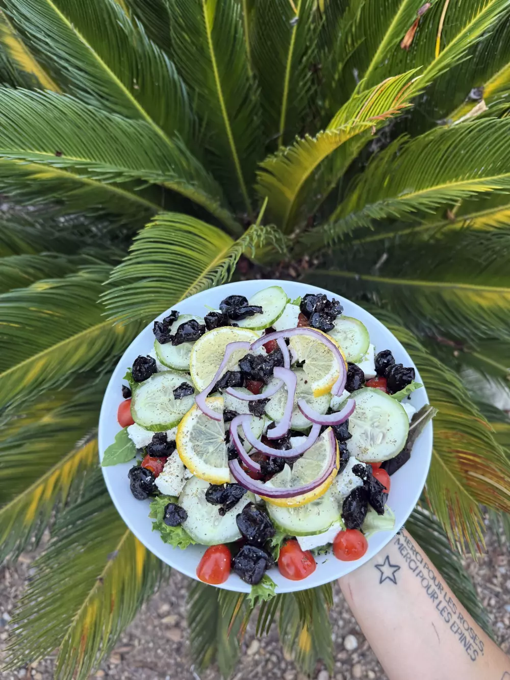 Flower Camping Le Mas de Mourgues 3 étoiles★★★