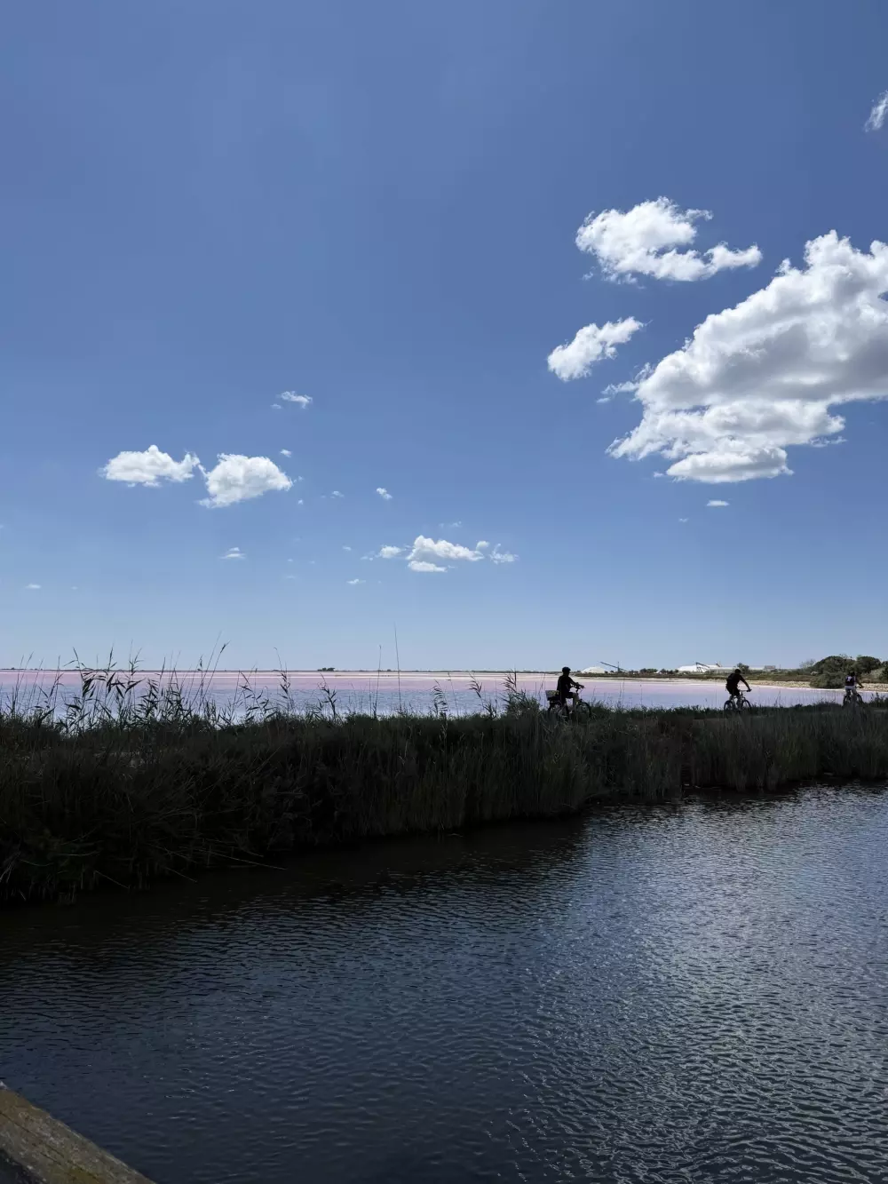 Flower Camping Le Mas de Mourgues 3 étoiles★★★