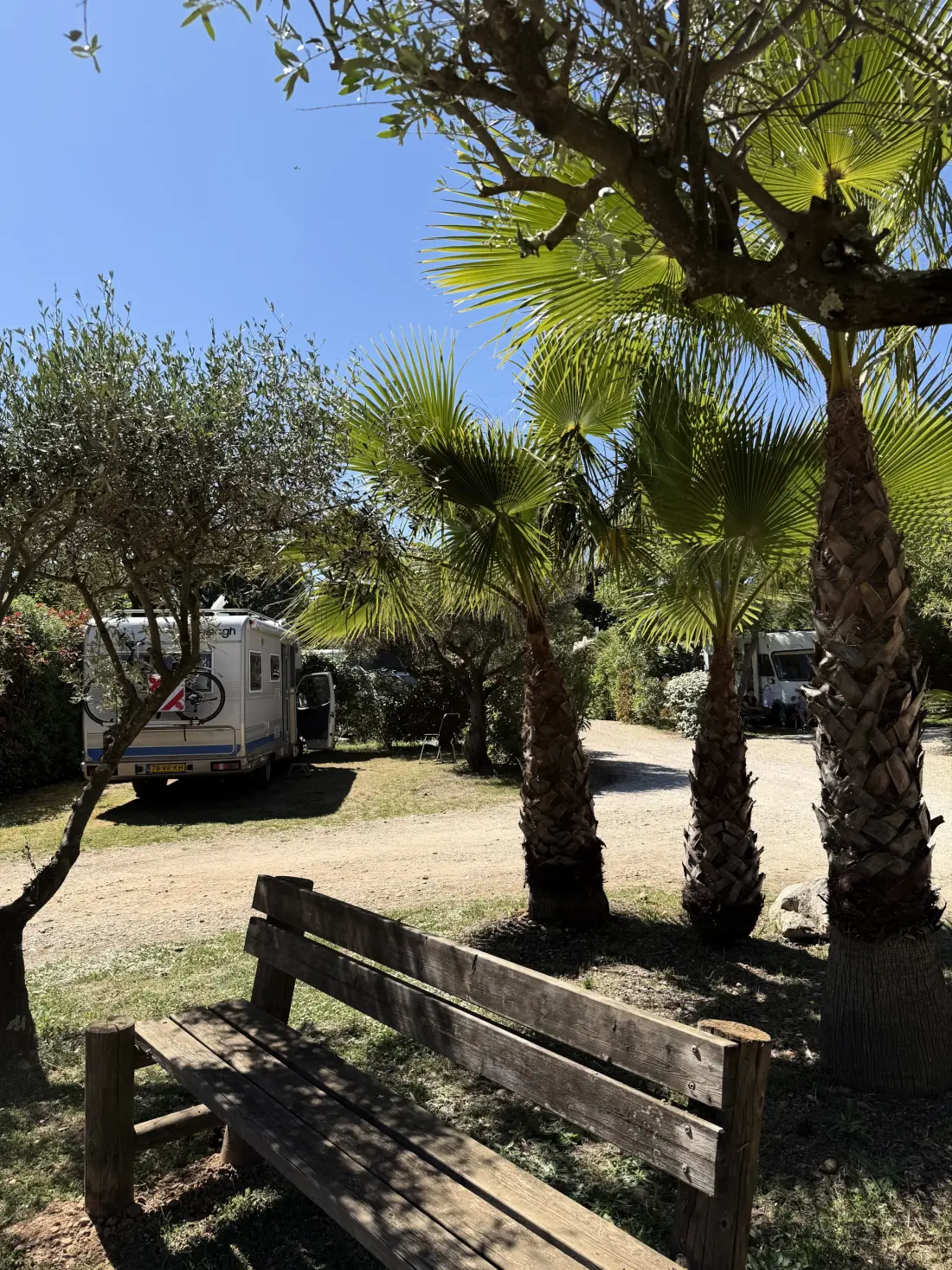 Flower Camping Le Mas de Mourgues 3 étoiles★★★