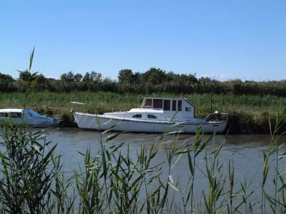 Flower Camping Le Mas de Mourgues 3 étoiles★★★