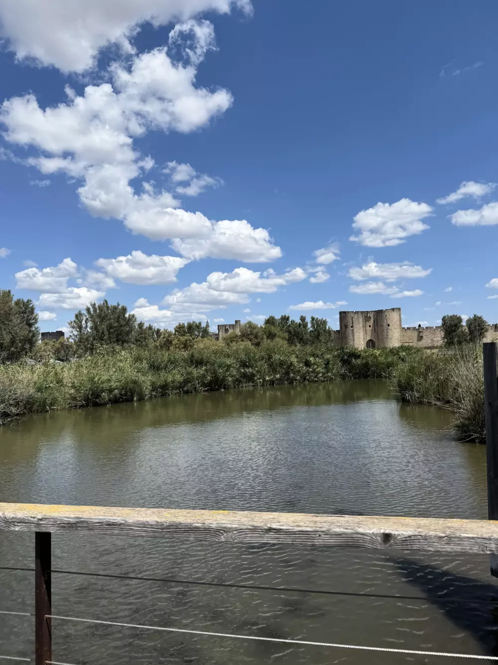 Flower Camping Le Mas de Mourgues 3 étoiles★★★