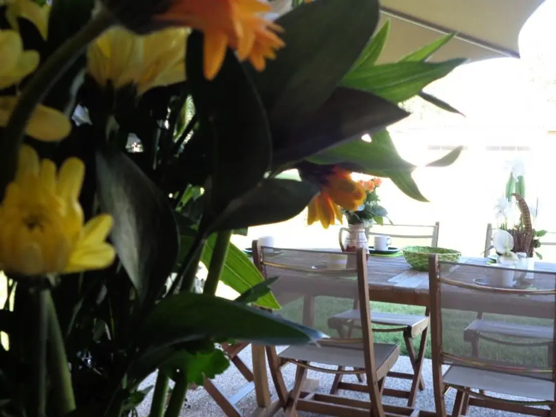 Maison de Vacances VEAUCHETTE 5