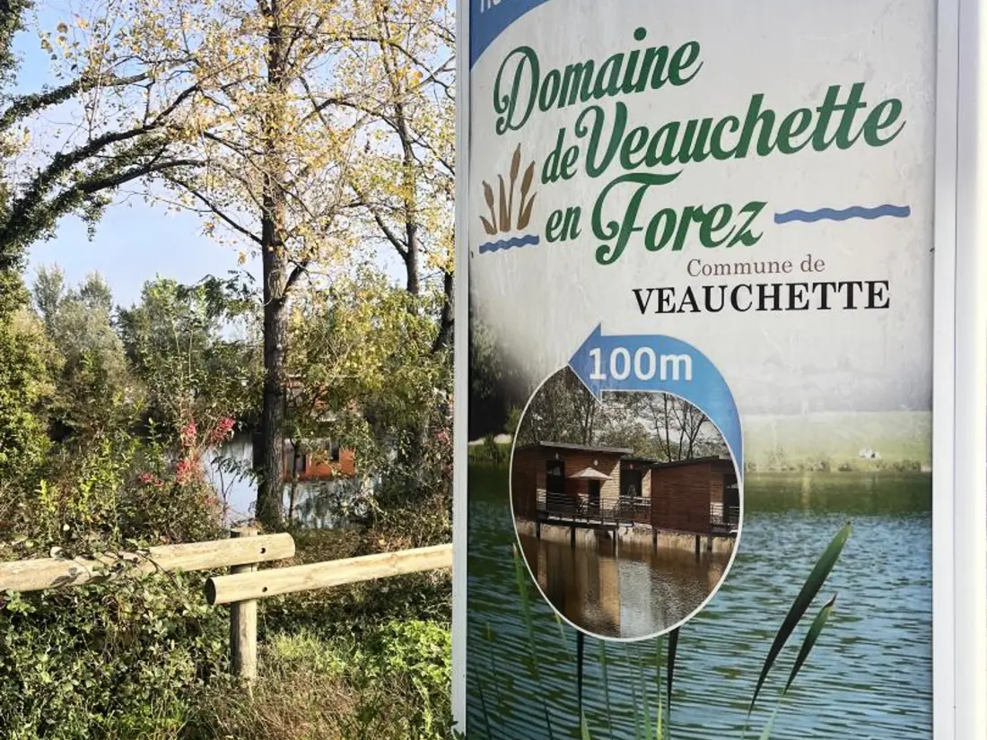 Maison de Vacances VEAUCHETTE 7