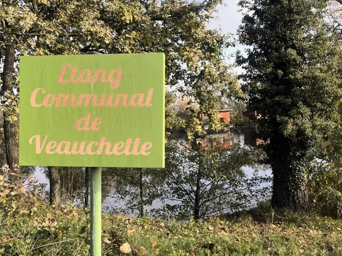 Maison de Vacances VEAUCHETTE
