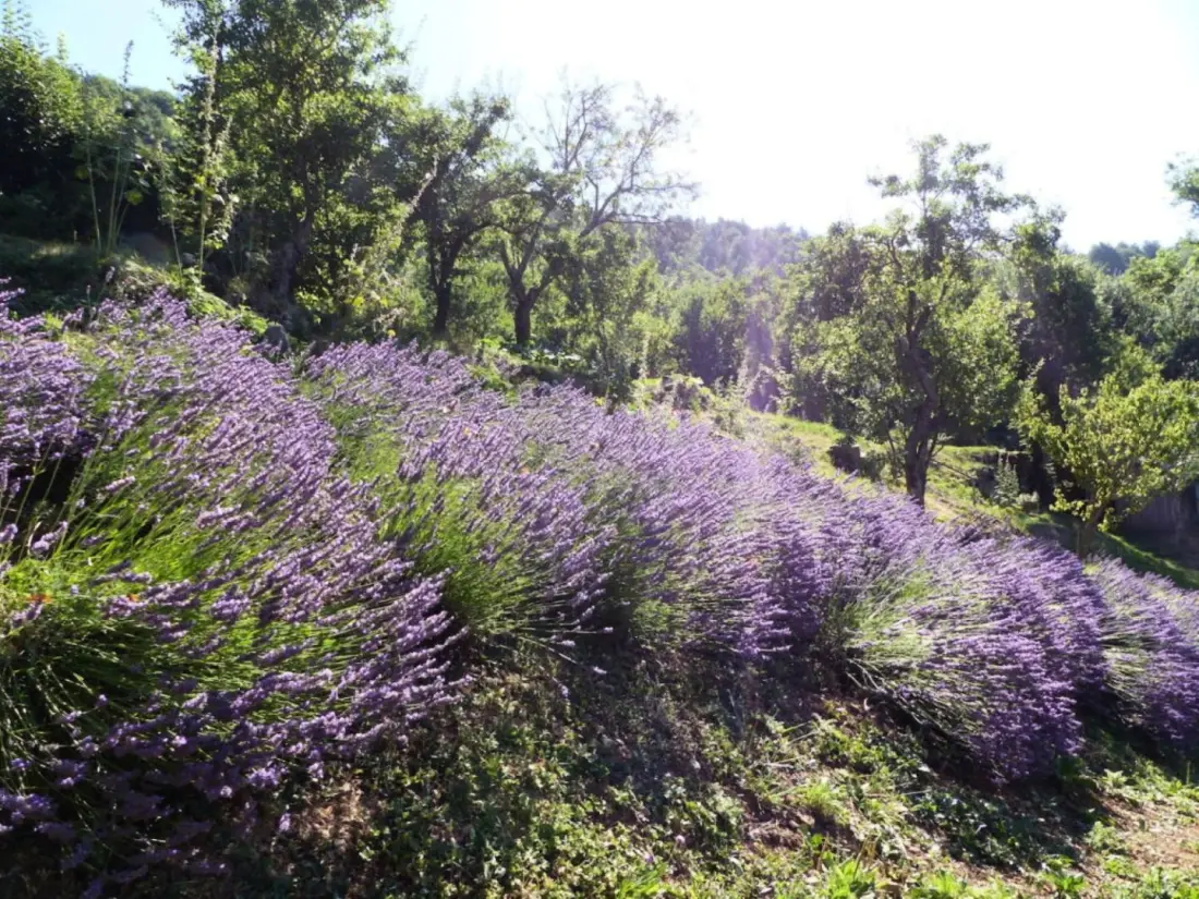 Gîte de France Le verger 3 épis