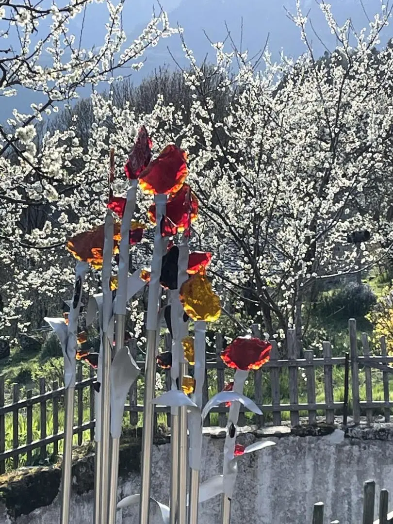 Gîte de France Le verger 3 épis
