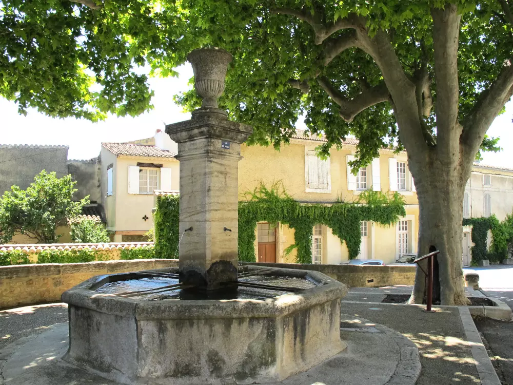 Résidence Le Platane