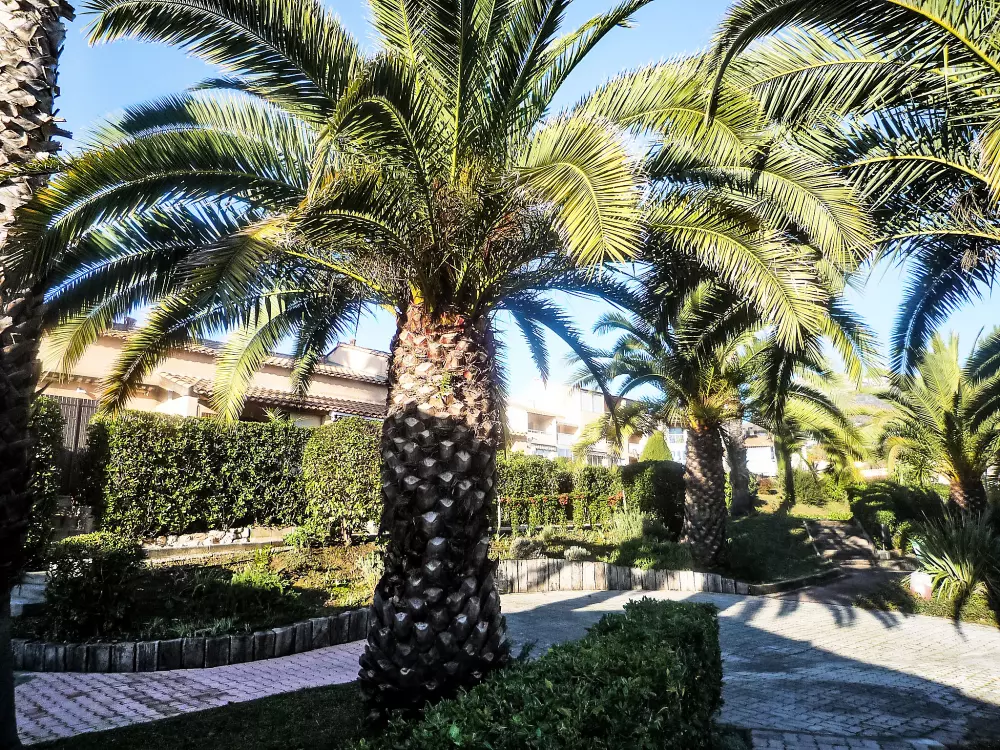 Résidence Le Jardin de Matisse