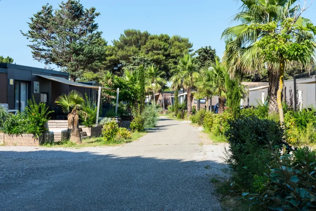 Camping Les Mûriers 4 étoiles★★★★