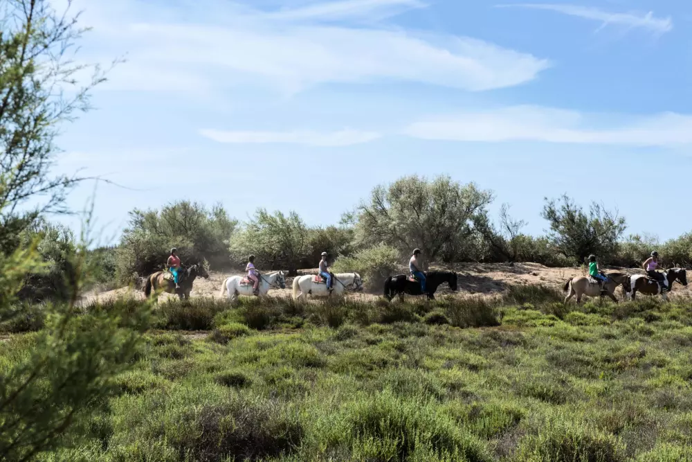 Les Mûriers 4 étoiles★★★★