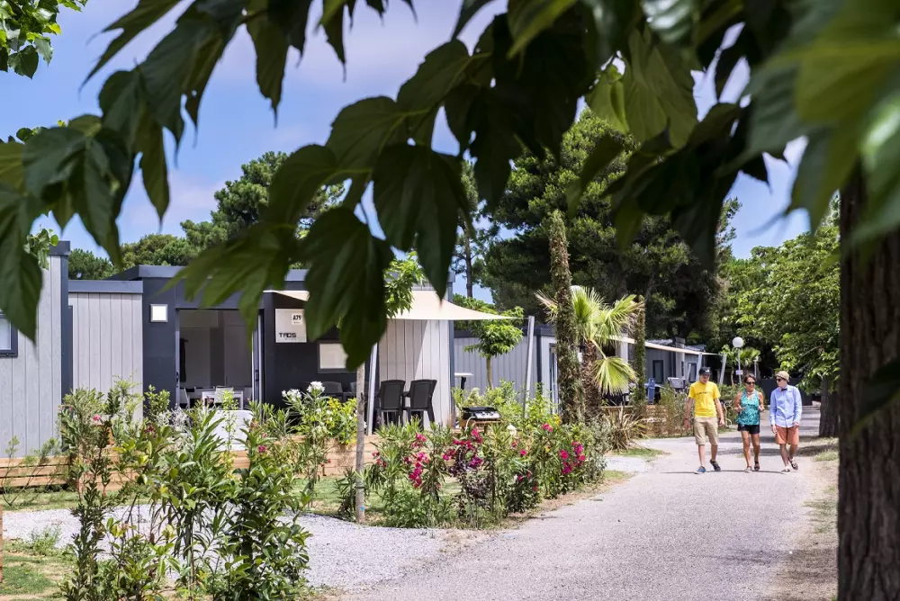 Camping Les Mûriers 41 étoiles★ - Plage