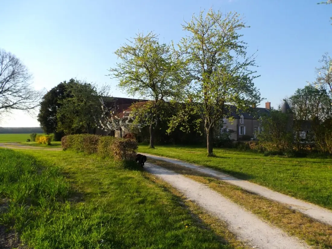 Maison de Vacances Vennecy 6