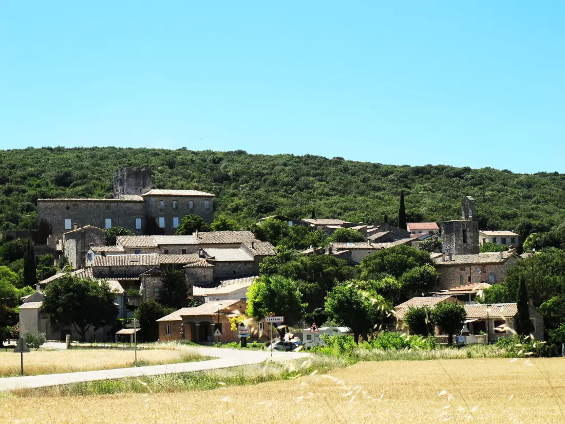 Maison de Vacances Verfeuil