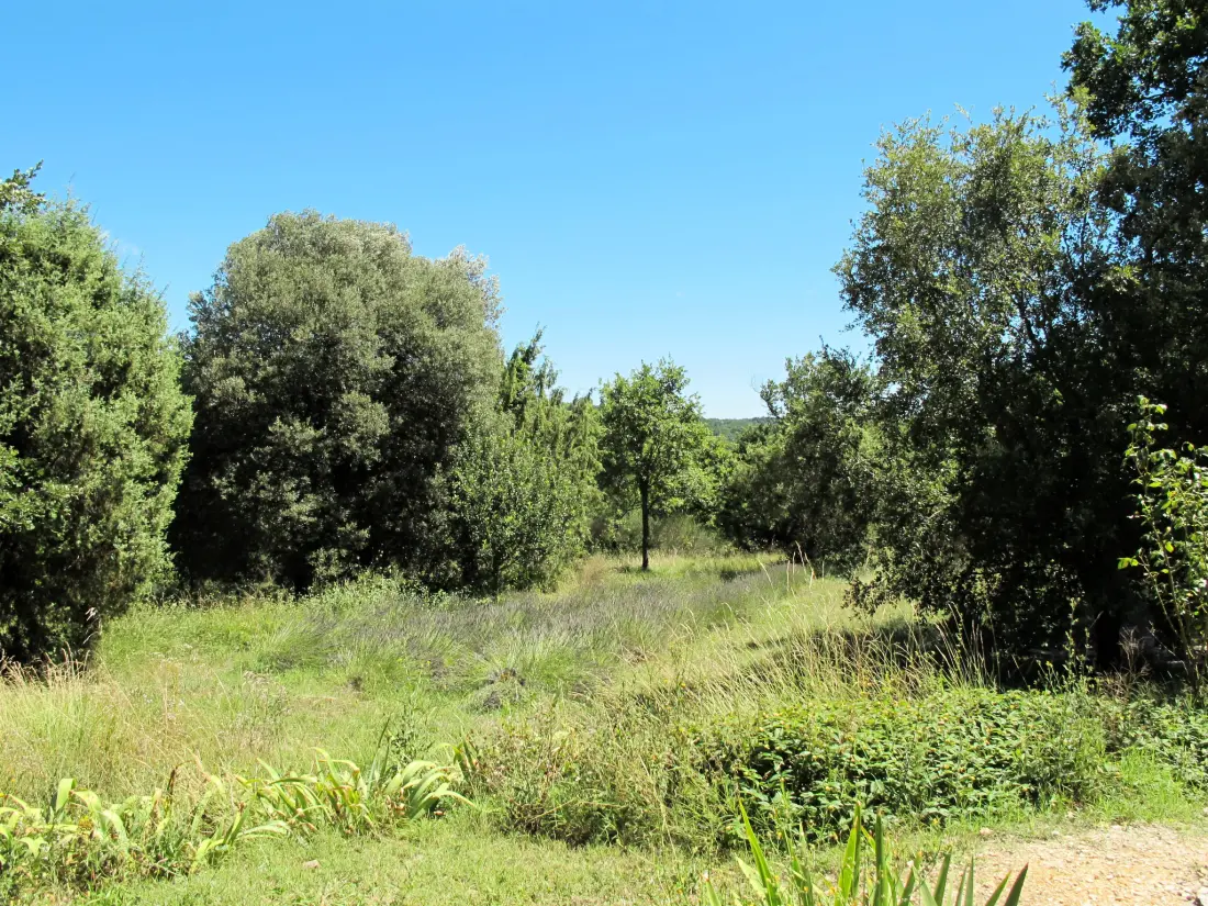 Maison de Vacances Verfeuil