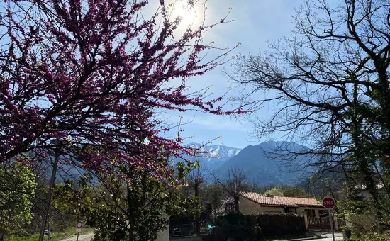 Résidence Balcon Du Canigou